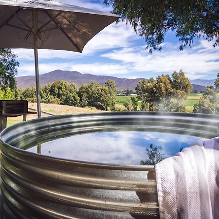 Arendsig Wine Estate & Cottages ボニーベール エクステリア 写真
