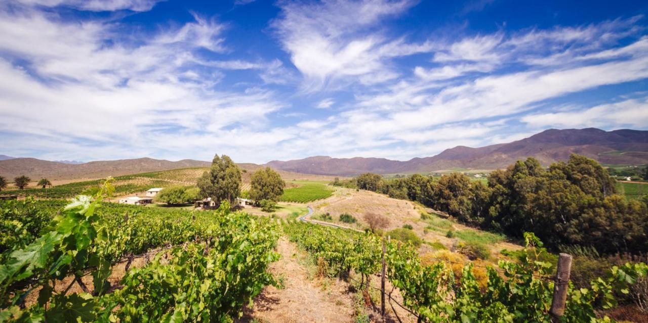 Arendsig Wine Estate & Cottages ボニーベール エクステリア 写真