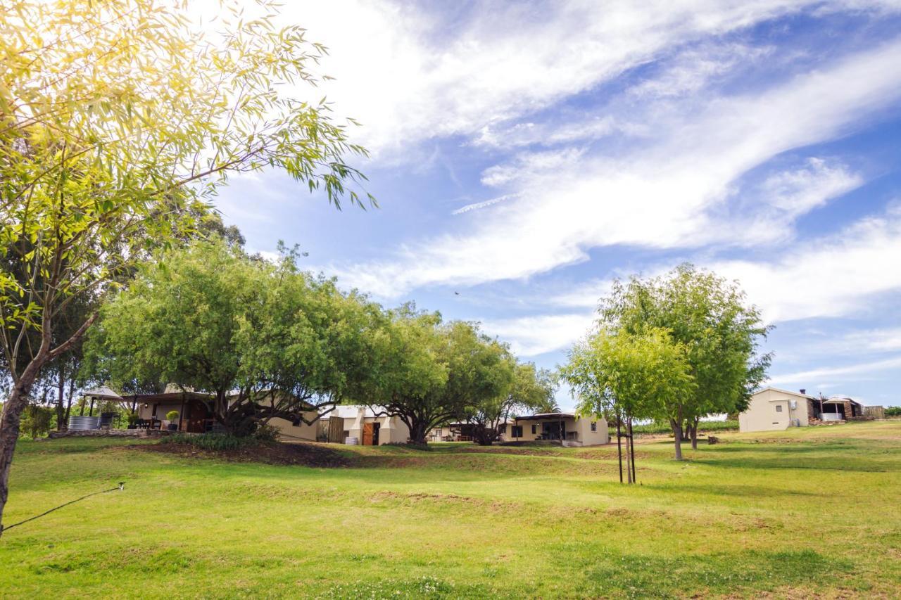 Arendsig Wine Estate & Cottages ボニーベール エクステリア 写真