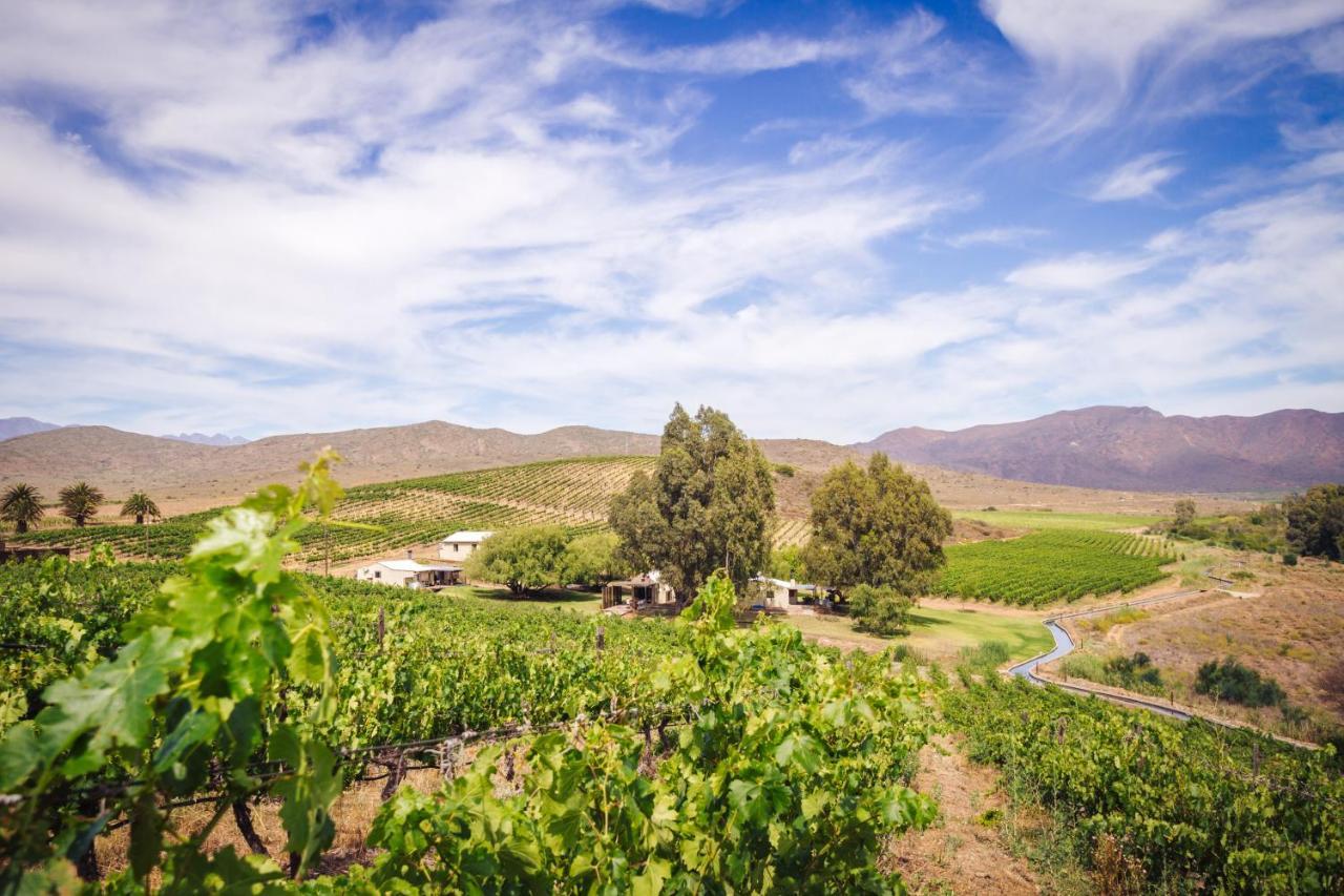 Arendsig Wine Estate & Cottages ボニーベール エクステリア 写真