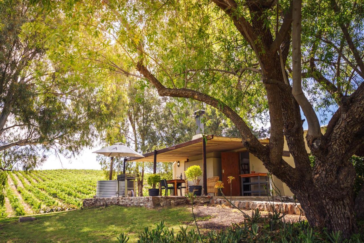 Arendsig Wine Estate & Cottages ボニーベール エクステリア 写真