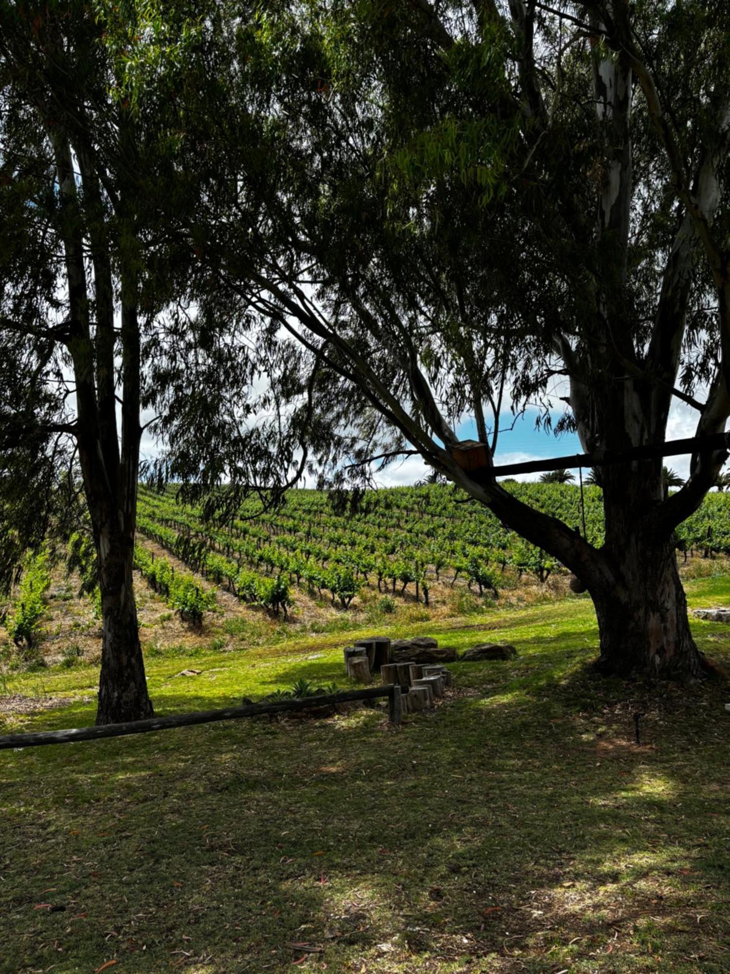 Arendsig Wine Estate & Cottages ボニーベール エクステリア 写真